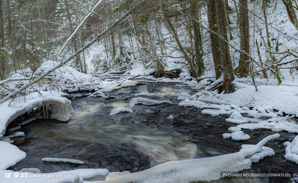 冬日雪覆溪流林间美景