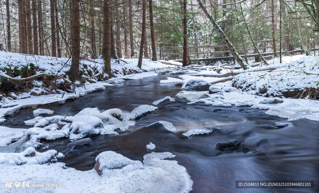冬日林间溪流覆薄雪