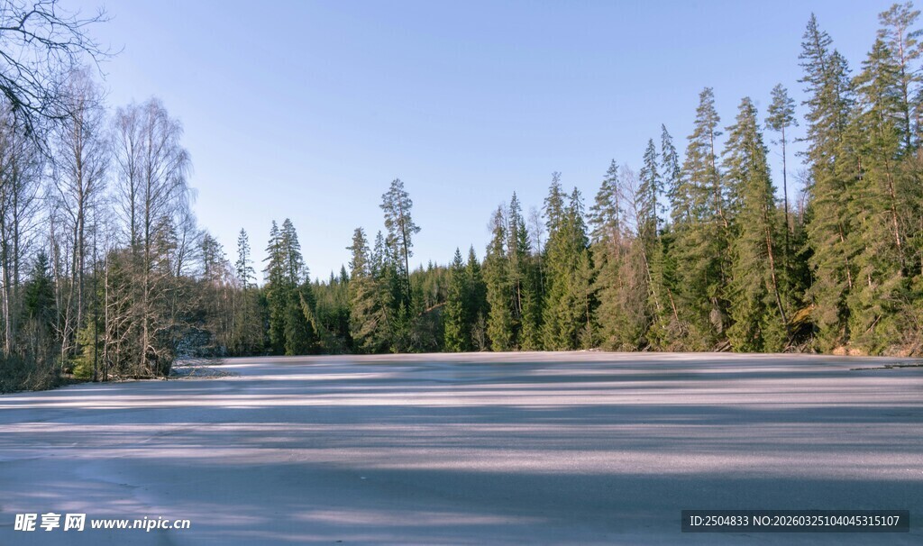 冬日冰封森林湖泊美景
