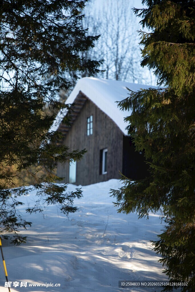 雪覆林间小屋