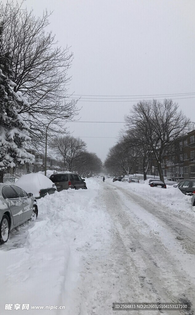 雪后街道景象