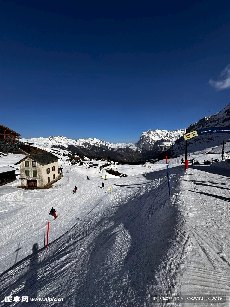 冬日滑雪场景