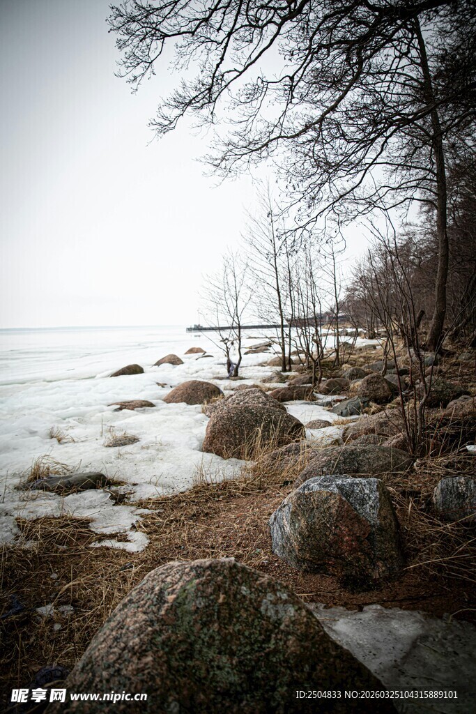 冬日湖畔萧瑟景致