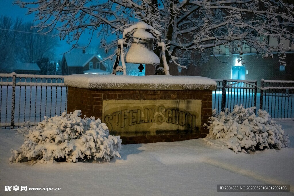 雪覆雕塑与灌木的静谧场景