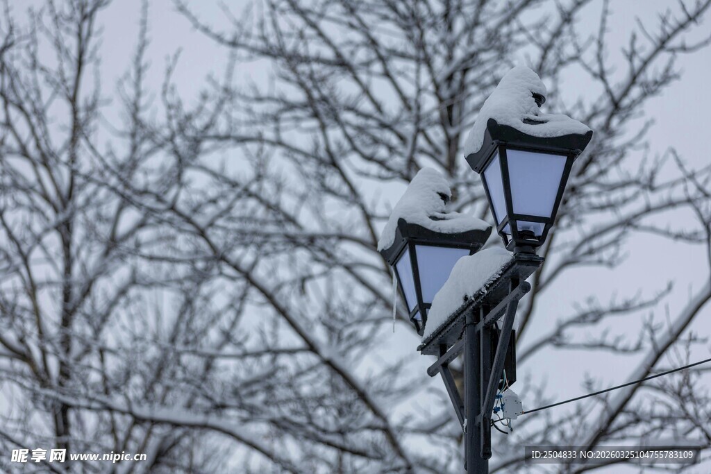雪覆路灯 冬日静谧景致
