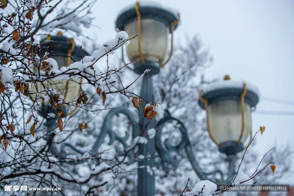 雪中复古路灯 尽显静谧之美
