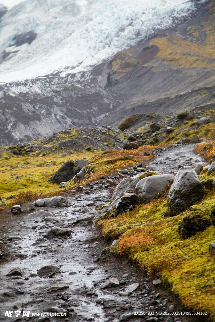 山间溪流旁的多彩自然景观