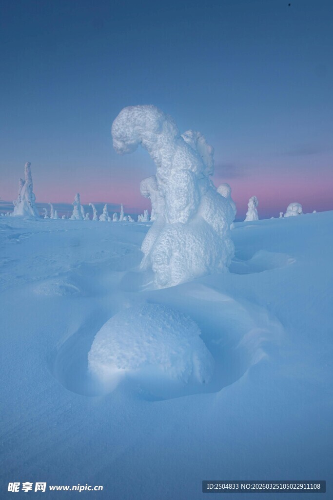 极地冰雪景观 奇异冰雕