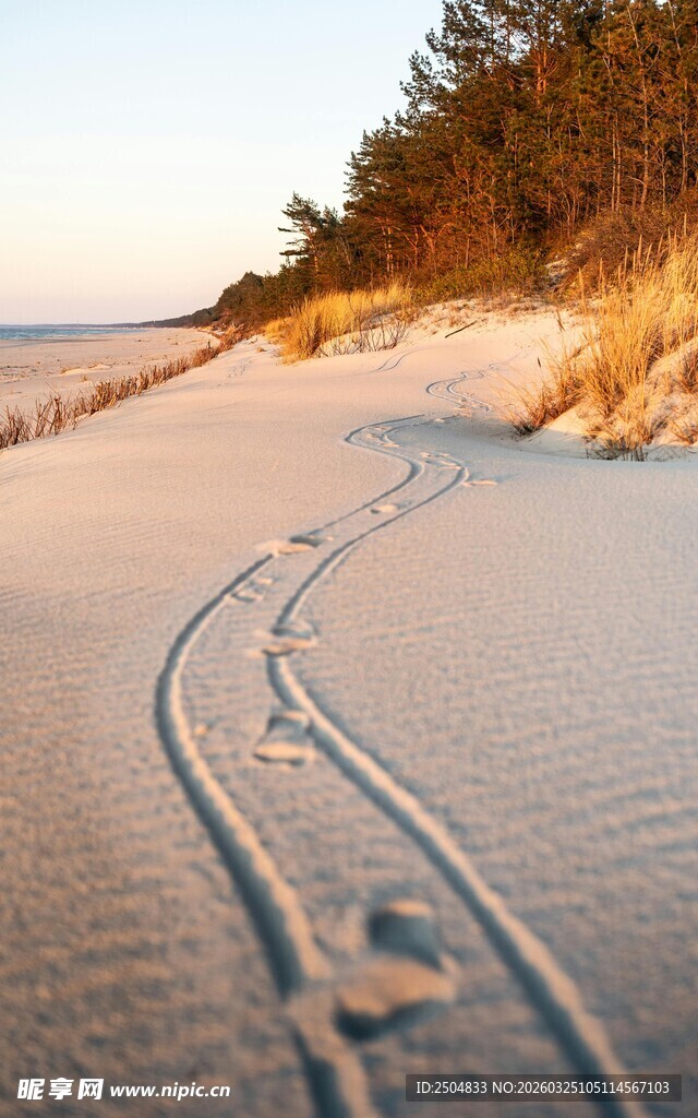 沙滩上的蜿蜒车辙痕迹