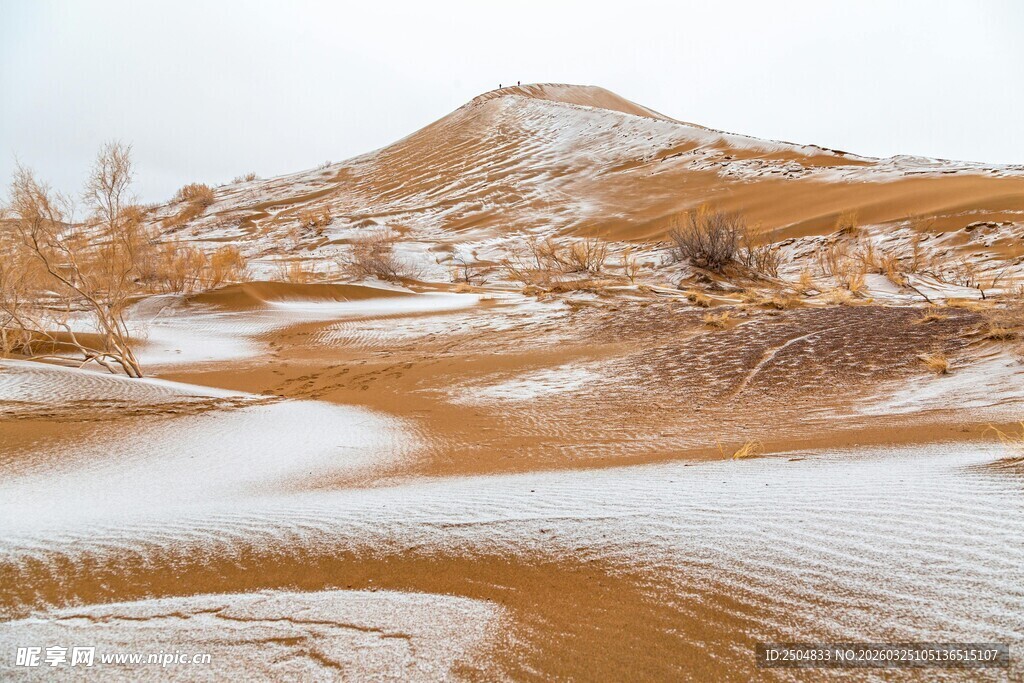 雪覆沙丘美景