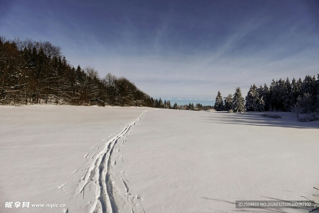 雪野中的滑雪轨迹
