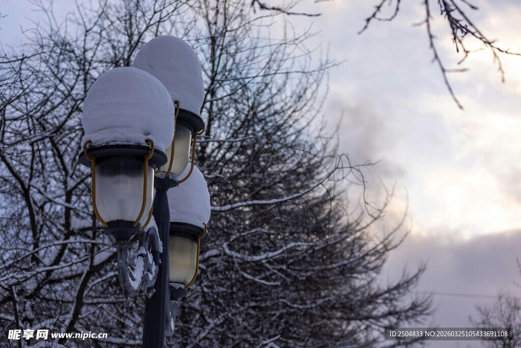 雪覆路灯与树木冬日景象