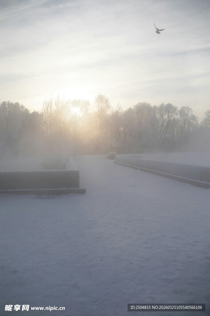 冬日晨景 雪地与初升暖阳