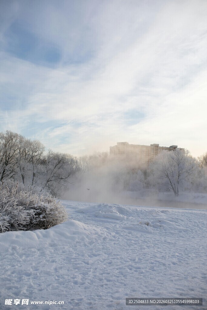 冬日雪景中的静谧景致