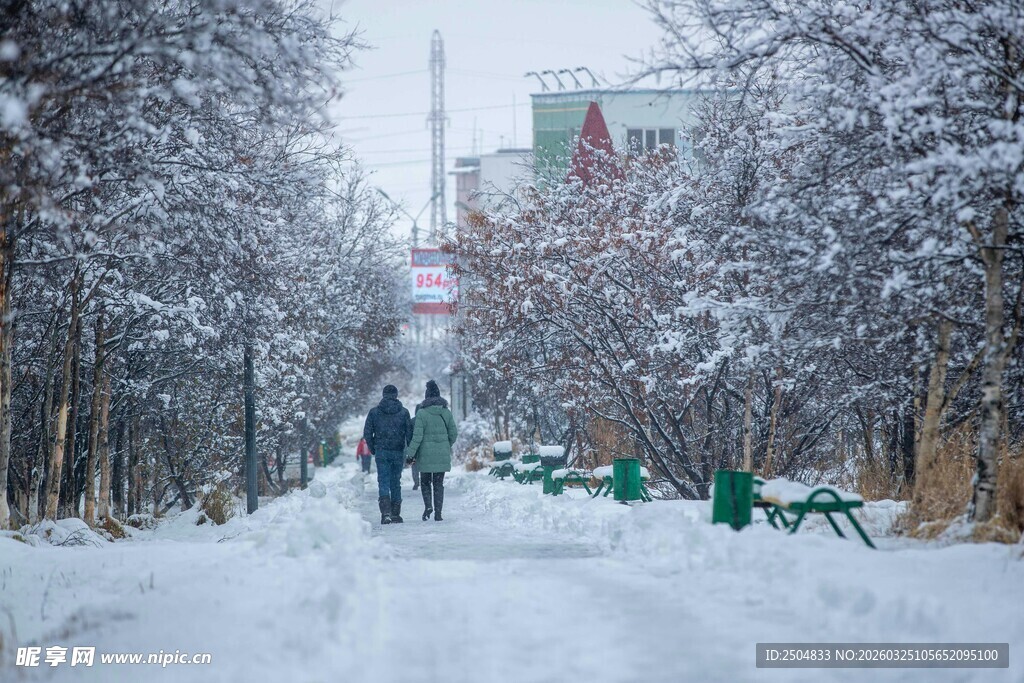 雪后公园中漫步的行人