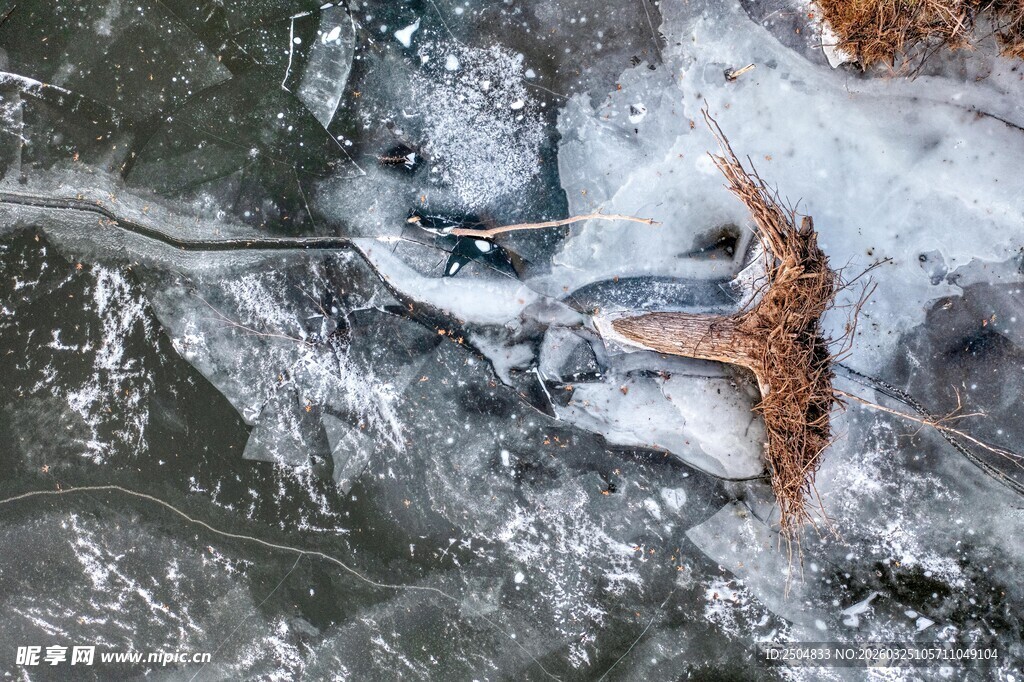 冰面下的鱼与海星景观
