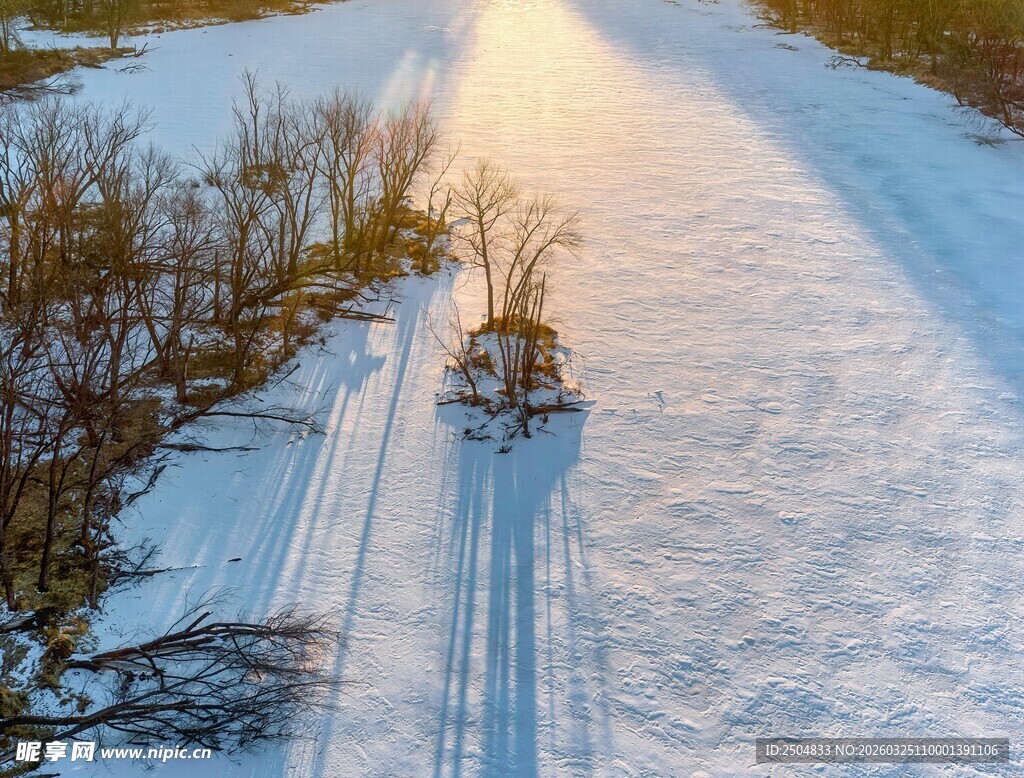 冬日雪地中的车辆行驶痕迹