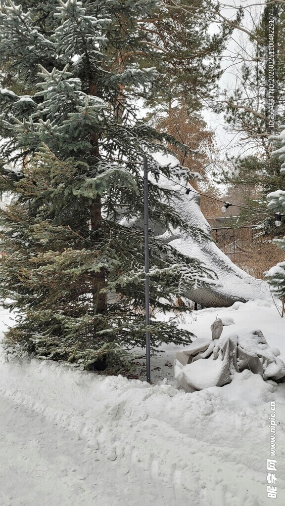 雪覆山林冬日景致