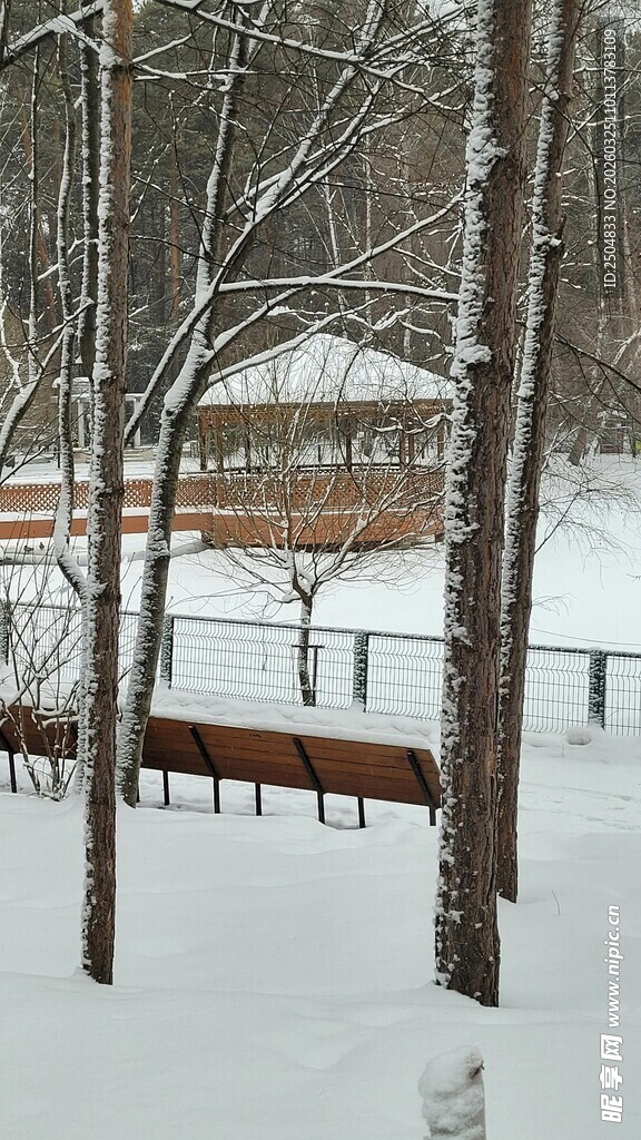 冬日雪景中的林间长椅