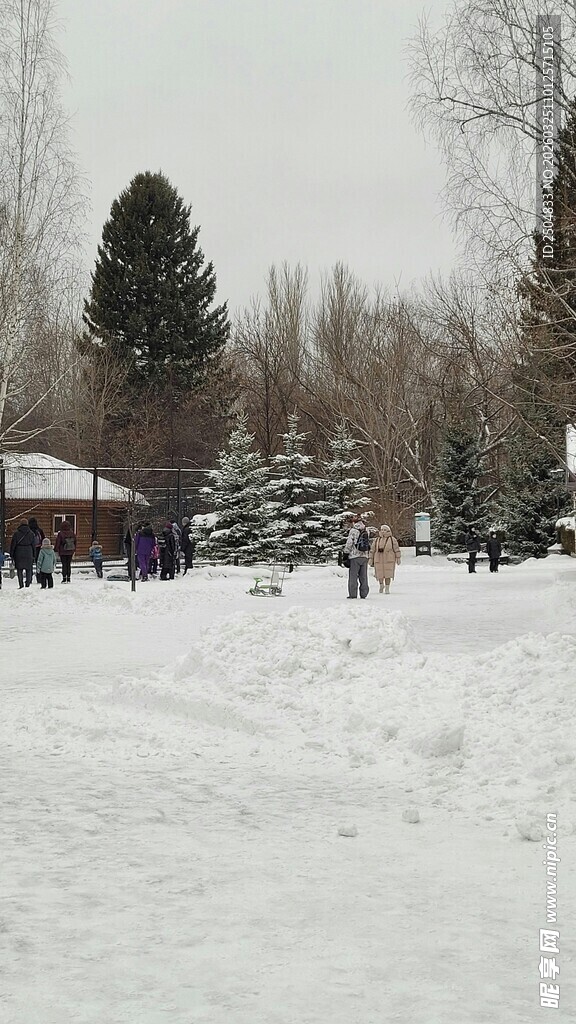 雪地中的户外休闲场景