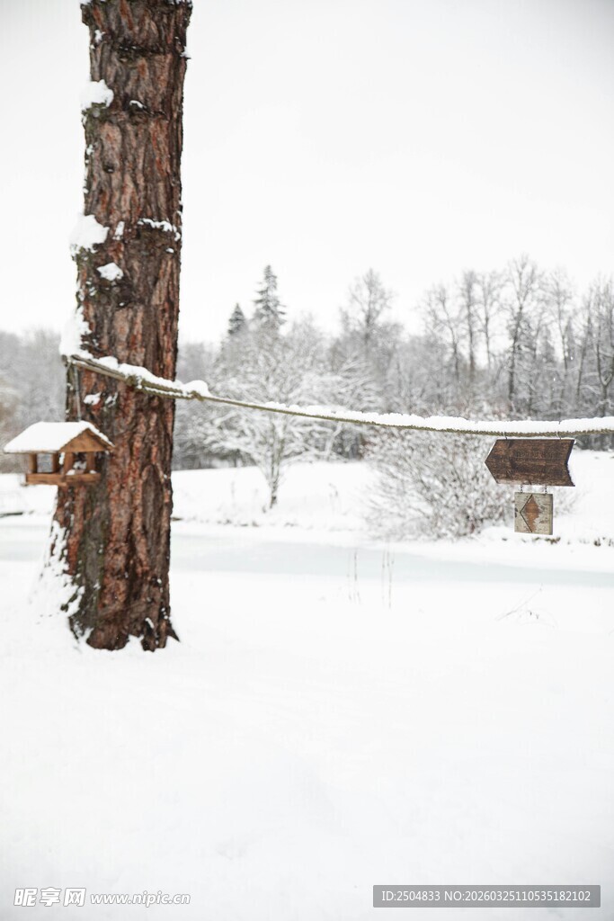 冬日雪景中的树木与小屋
