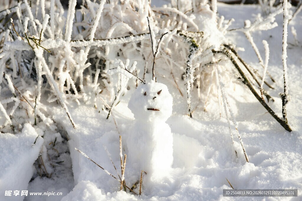 雪地中的可爱雪人