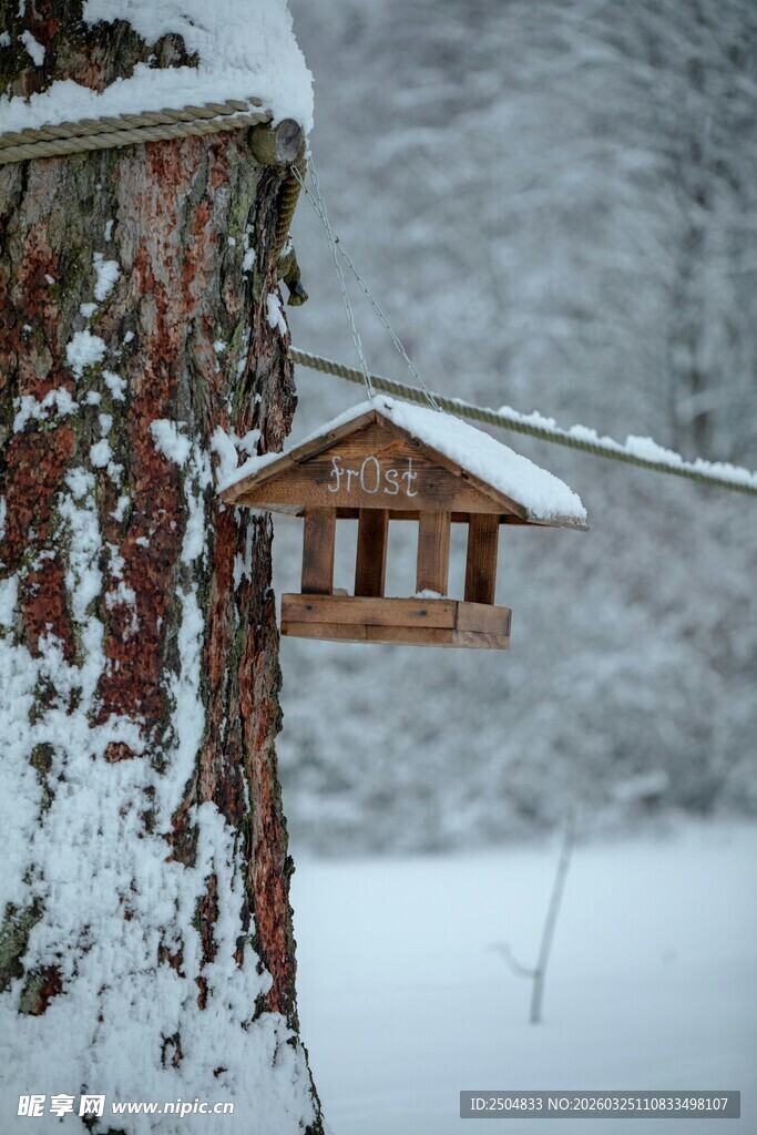 雪覆林间的精致鸟舍