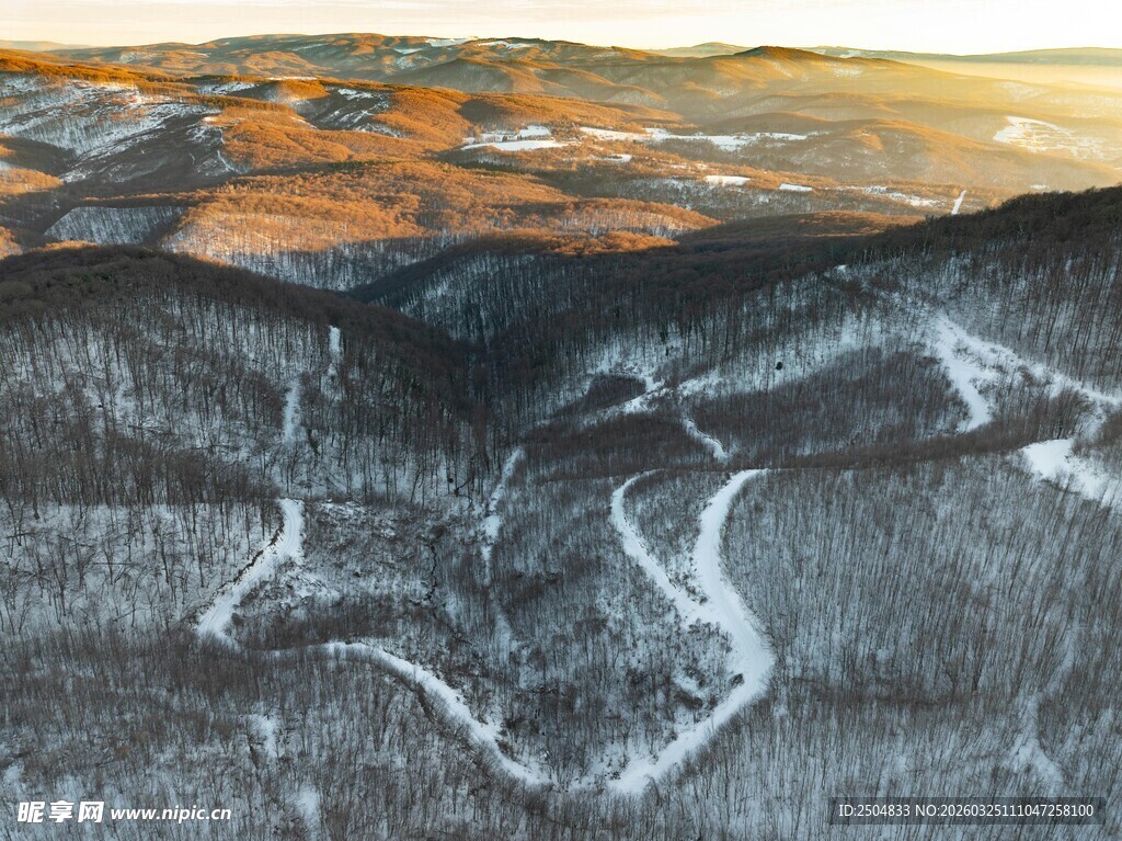 地质剖面展示独特纹理