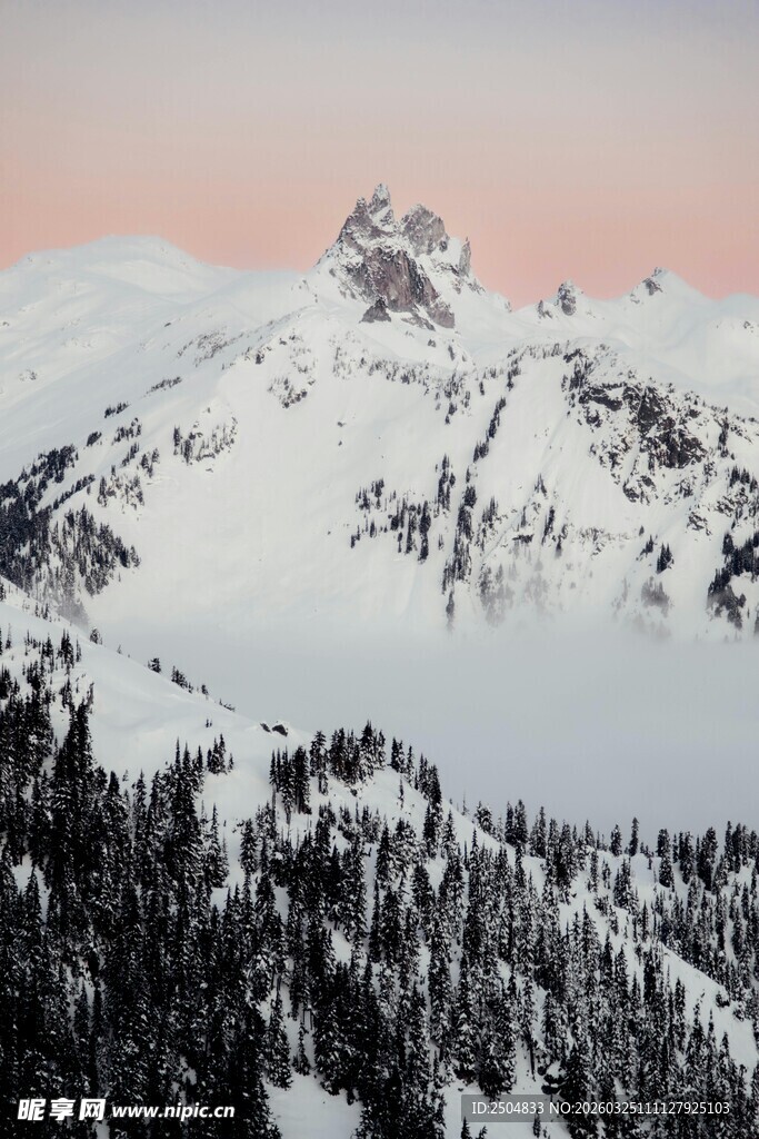 雪山森林壮丽自然景观