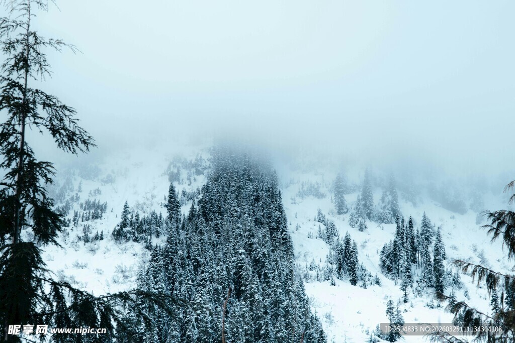 雪覆山林间的朦胧美景