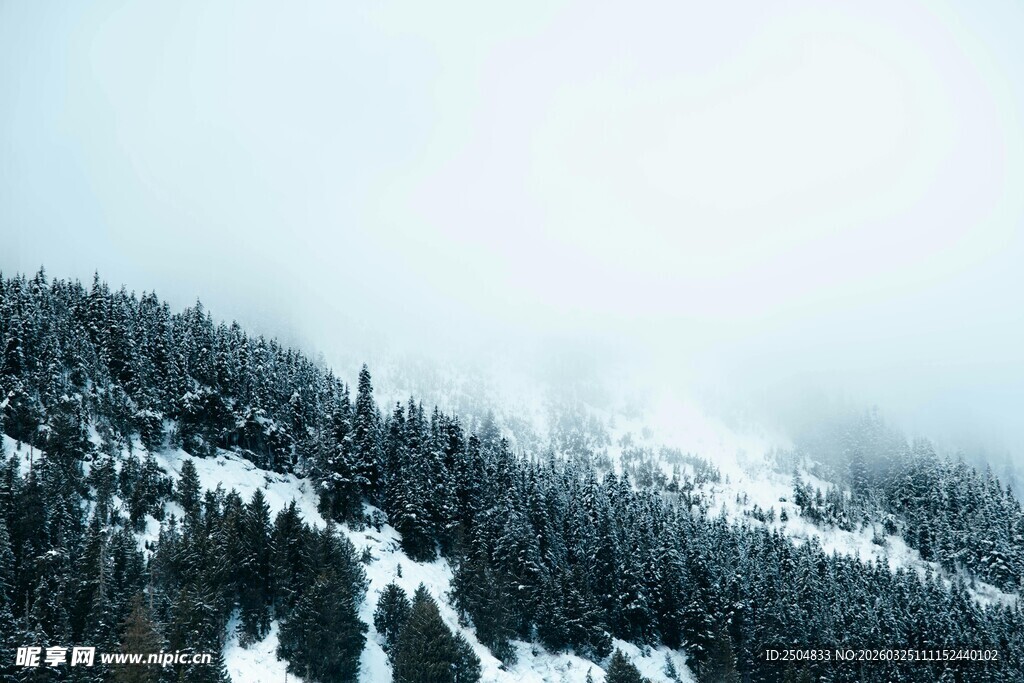 雪覆山林 云雾缭绕之景