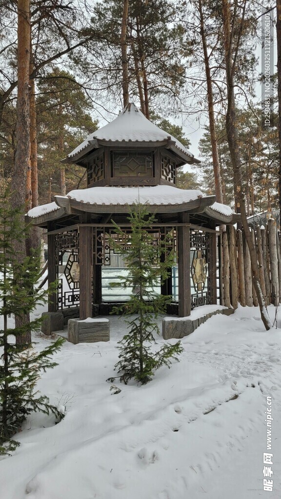 雪覆林间凉亭静谧景致