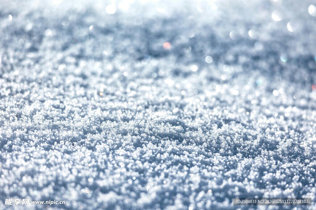 冬日雪景 晶莹雪粒特写