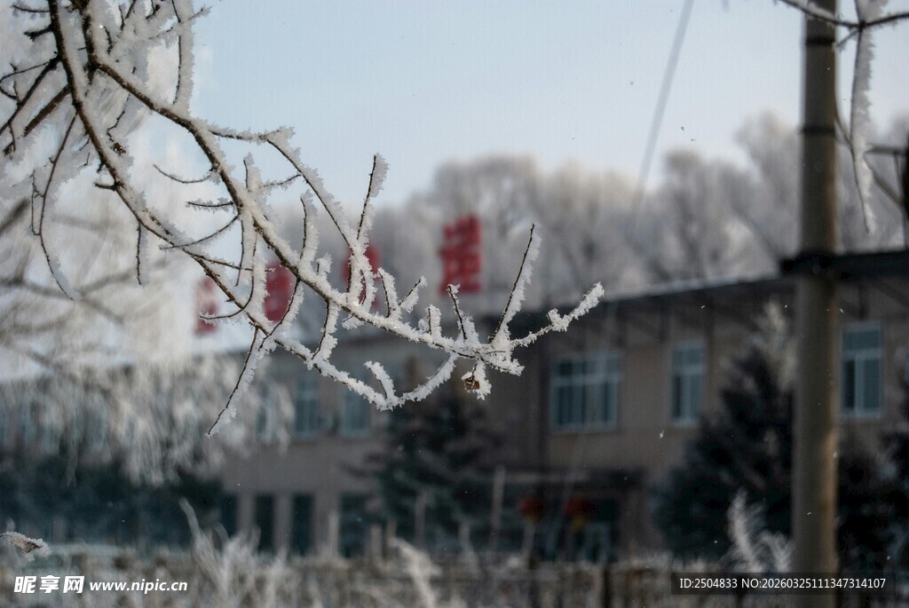 冬日雪景中的古朴房屋