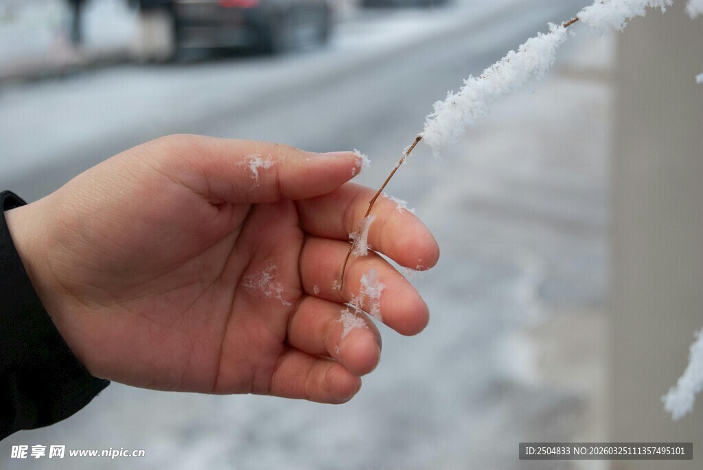 手托细长冰凌特写