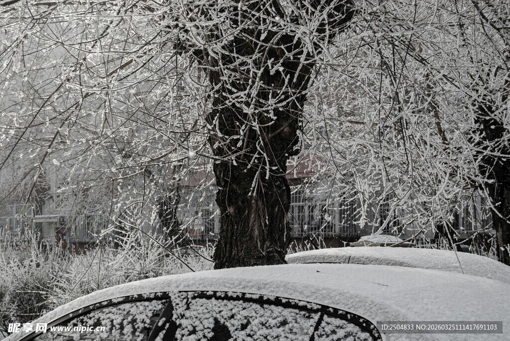 雪覆树木与栏杆的冬日景致