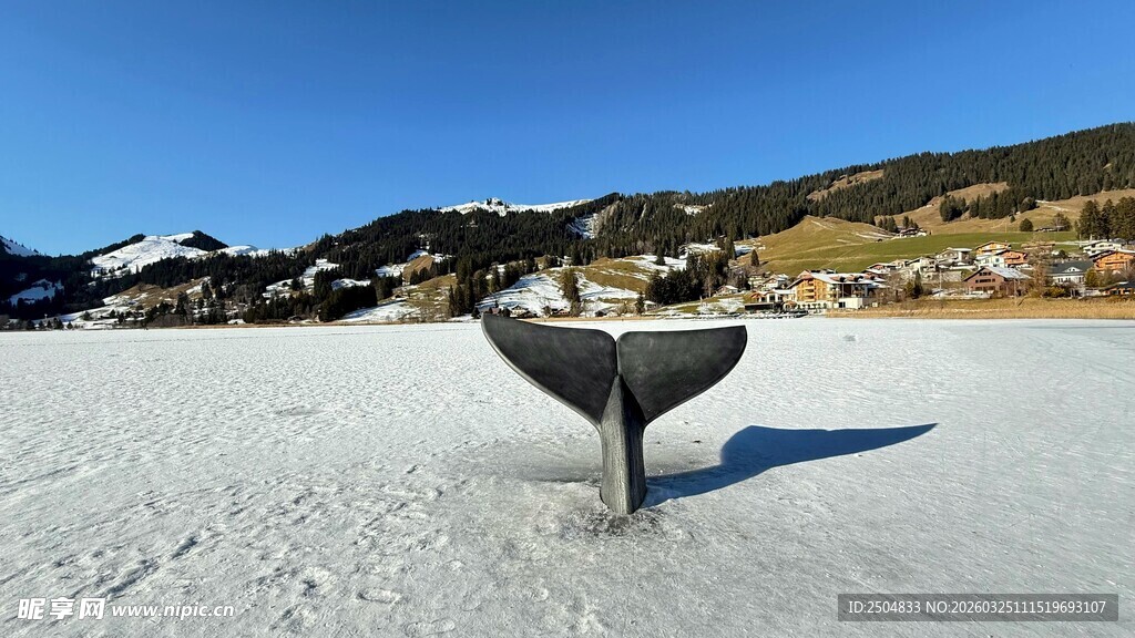 雪地中独特的鲸鱼尾巴造型