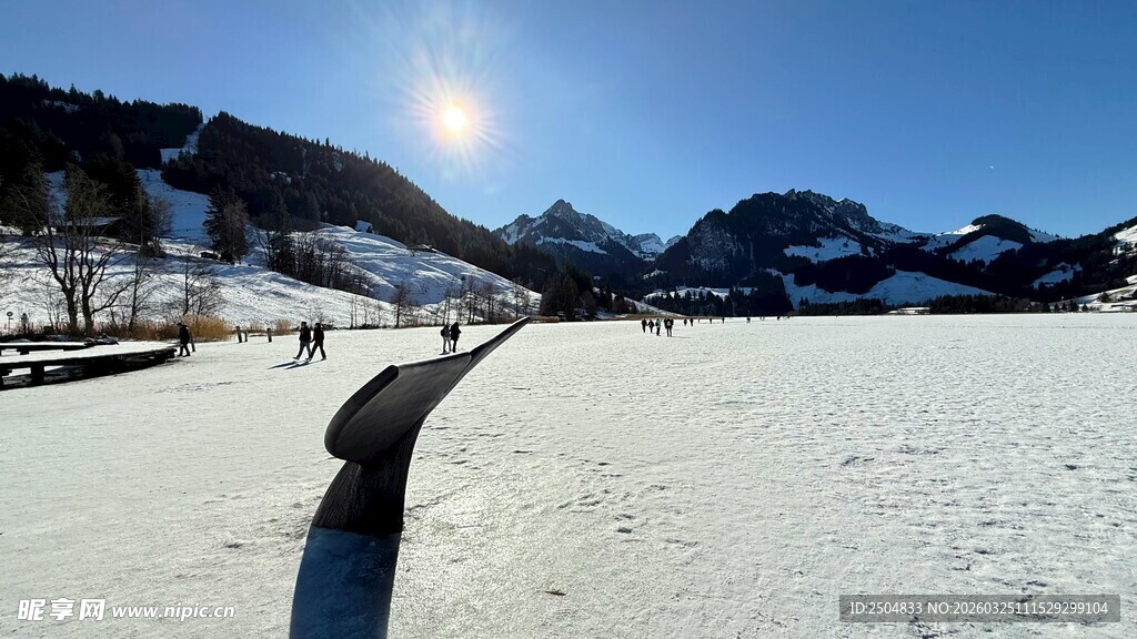 冬日雪野中的阳光美景
