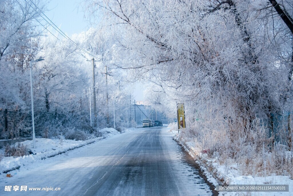 冬日雪覆道路的静谧景象