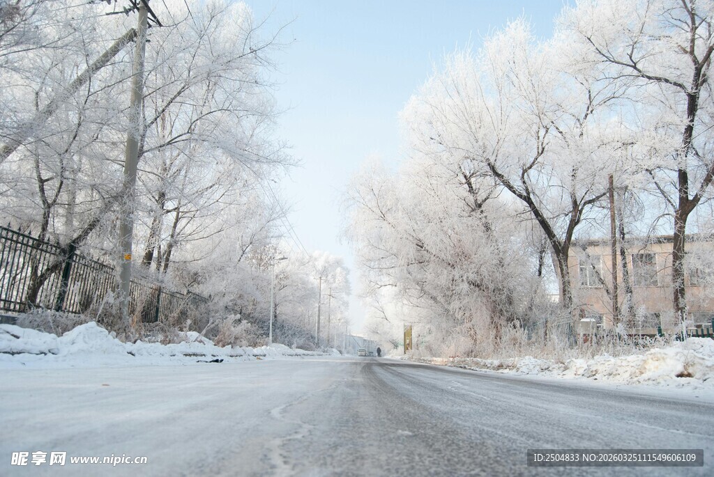 冬日雪覆道路的静谧景象