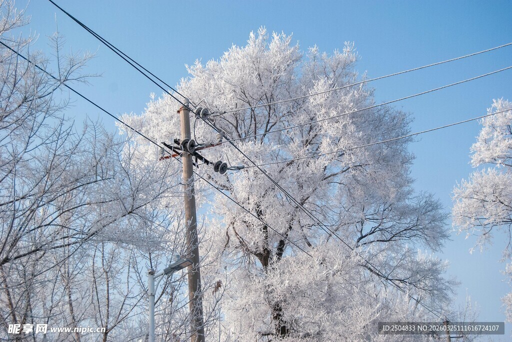 冬日雾凇美景