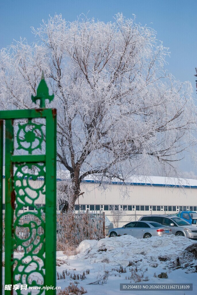 冬日雪景中的绿色雕花围栏