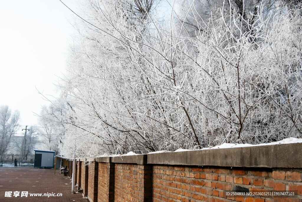 冬日砖墙覆雪景致