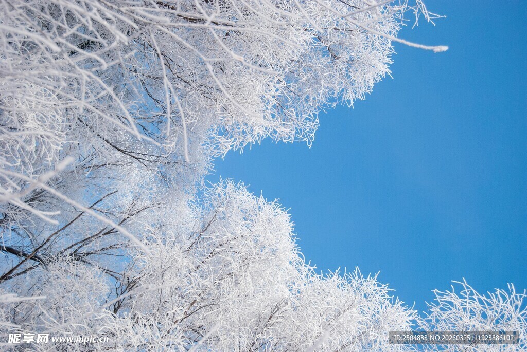 冬日玉树蓝天美景
