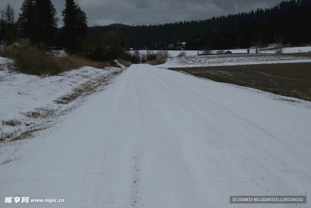 冬日积雪覆盖的乡村道路