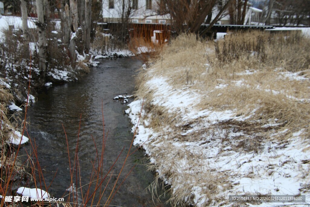 冬日溪边雪景