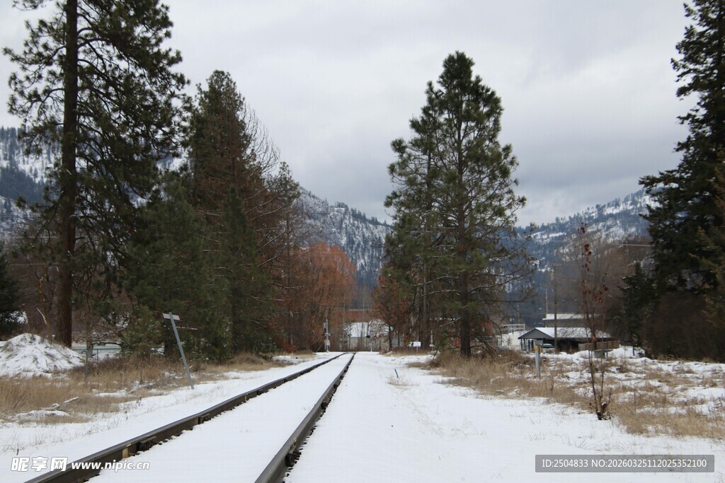 雪覆铁轨旁的森林景致