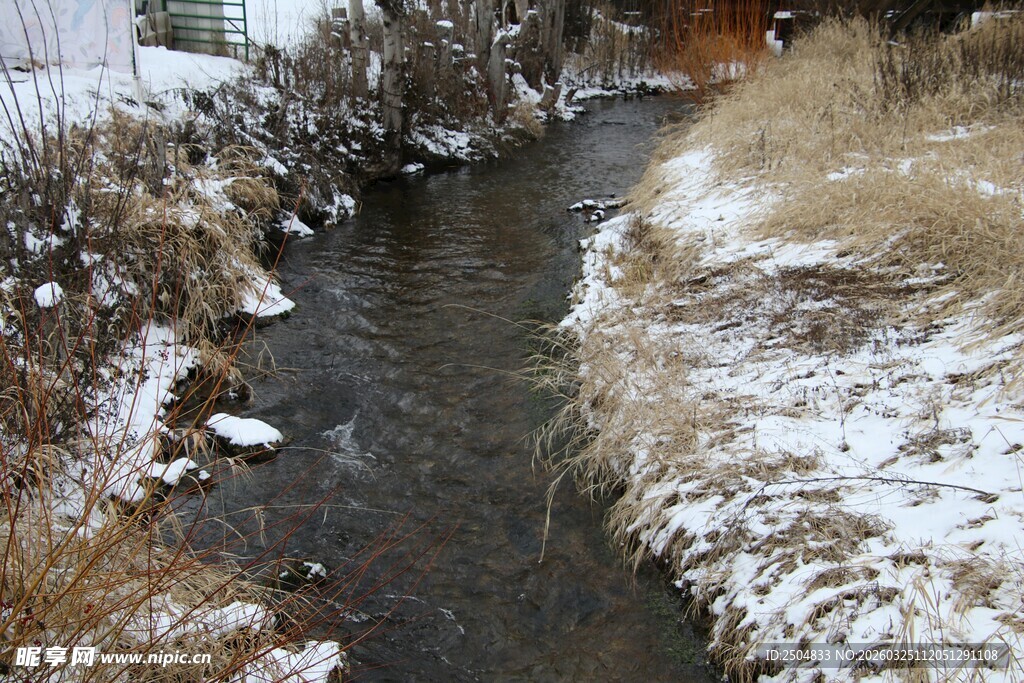冬日溪边雪景