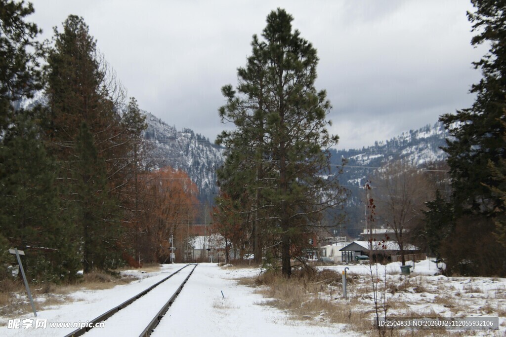 冬日雪覆铁轨的山林景致