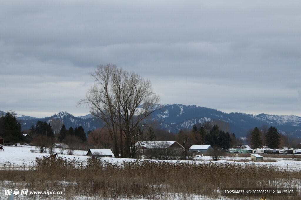 冬日雪景中的旷野与远山